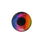 Cabochon - Rainbow Eye (18mm)